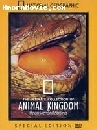 สารคดี Animal Kingdom ที่สุดแห่งสารคดีสัตว์โหด 3 DVD