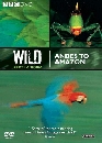 สารคดี Wild South America 2 DVD