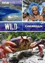 สารคดี Wild Caribbean 1 DVD