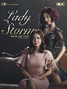 ซีรีย์เกาหลี Lady Storm พายุรัก แรงพิศวาส 18 DVD พากย์ไทย