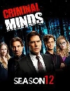  Criminal Minds Season 12 : Թ  ҹҪҡ  12 5 DVD 