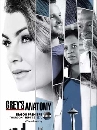  Grey s Anatomy Season 14 5 DVD 
