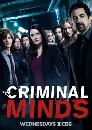  Criminal Minds Season 13 索Ҫҡ  13 5 DVD ҡ
