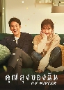 ซีรีย์เกาหลี My Mister คุณลุงของฉัน 4 DVD พากย์ไทย