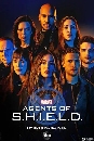  Marvel s Agents of S.H.I.E.L.D ˹»ԺѵԡѺŴ  7 4 DVD ҡ