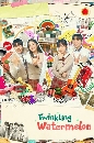 ซีรีย์เกาหลี Twinkling Watermelon (2023) 4 DVD บรรยายไทย